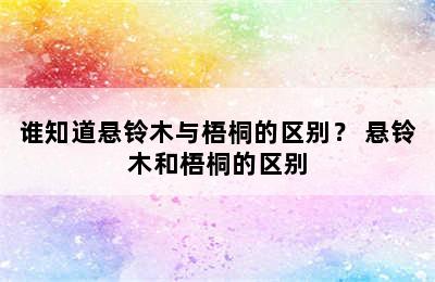 谁知道悬铃木与梧桐的区别？ 悬铃木和梧桐的区别